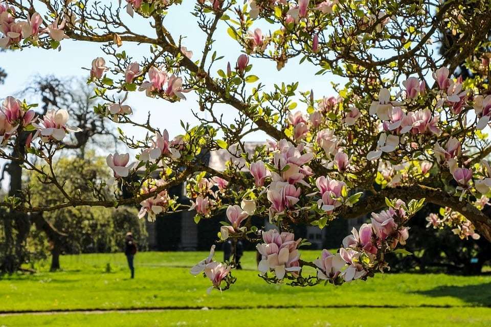Les plus beaux jardins de France à visiter