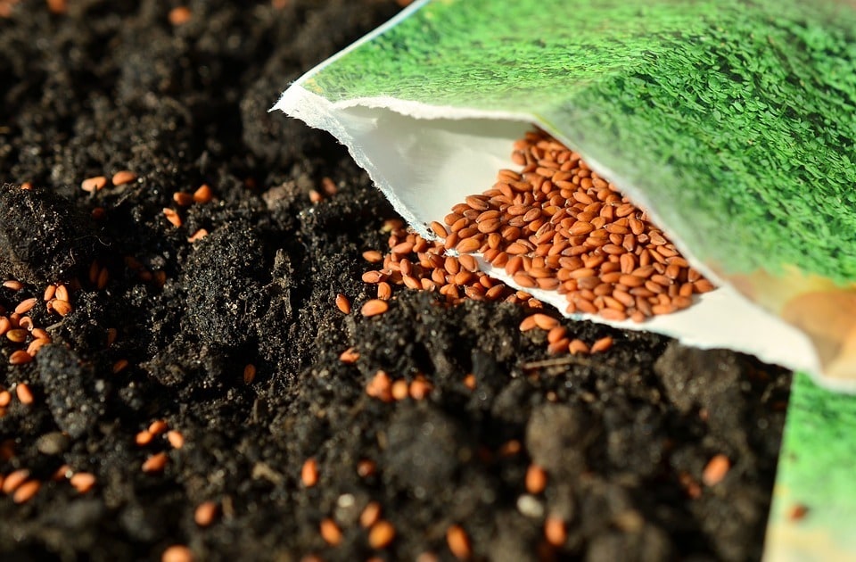 Le jardinage simplifié : conseils pour les débutants