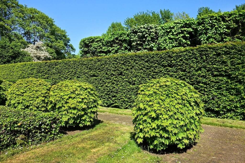 Faire appel à un professionnel pour créer un jardin paysagiste
